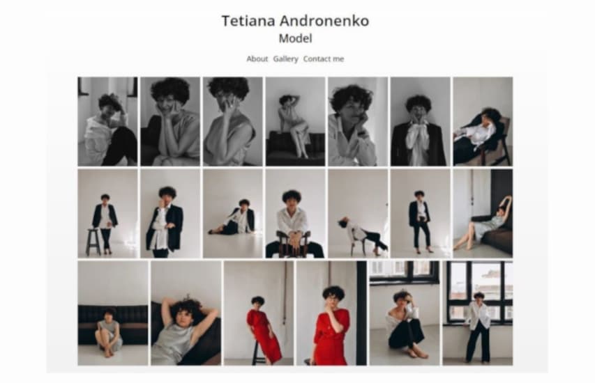 Портфоліо моделі